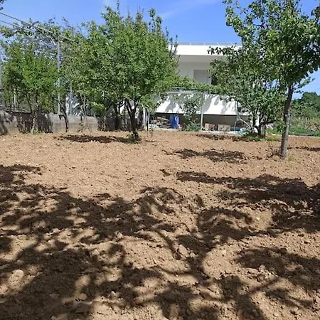 بيت للعطل Vineyard Of Valta Marmari (Evia)