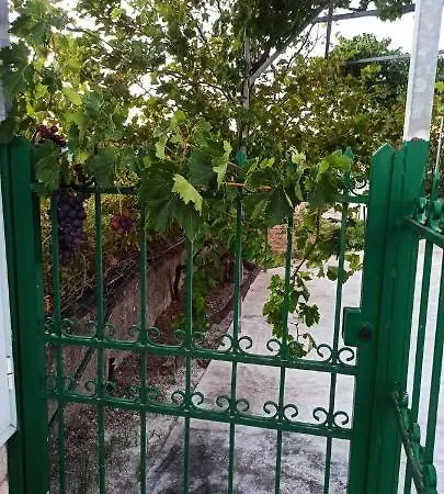 Vineyard Of Valta * Marmari (Evia)