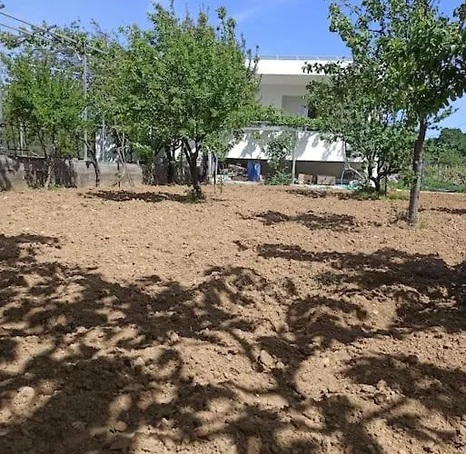 Holiday home Vineyard Of Valta Marmari (Evia)