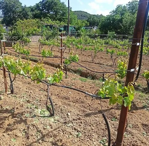 Vineyard Of Valta Holiday home